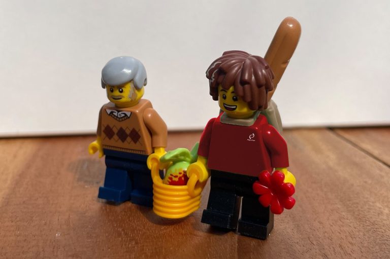 Hauswirtschafts-und Betreuungskräfte Zwei LEGO-Figuren: Eine ältere, die beim Tragen eines Korbes mit Einkäufen hilft und die andere mit einer Blume in der anderen Hand