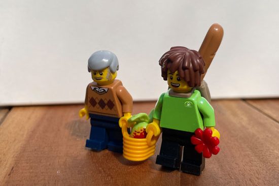 Hauswirtschafts-und Betreuungskräfte Zwei LEGO-Figuren: Eine ältere, die beim Tragen eines Korbes mit Einkäufen hilft und die andere mit einer Blume in der anderen Hand
